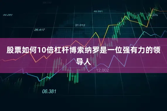 股票如何10倍杠杆博索纳罗是一位强有力的领导人