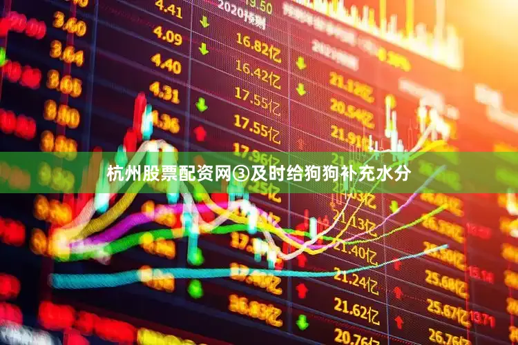 杭州股票配资网③及时给狗狗补充水分