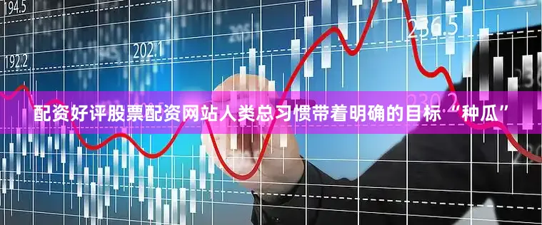 配资好评股票配资网站人类总习惯带着明确的目标 “种瓜”